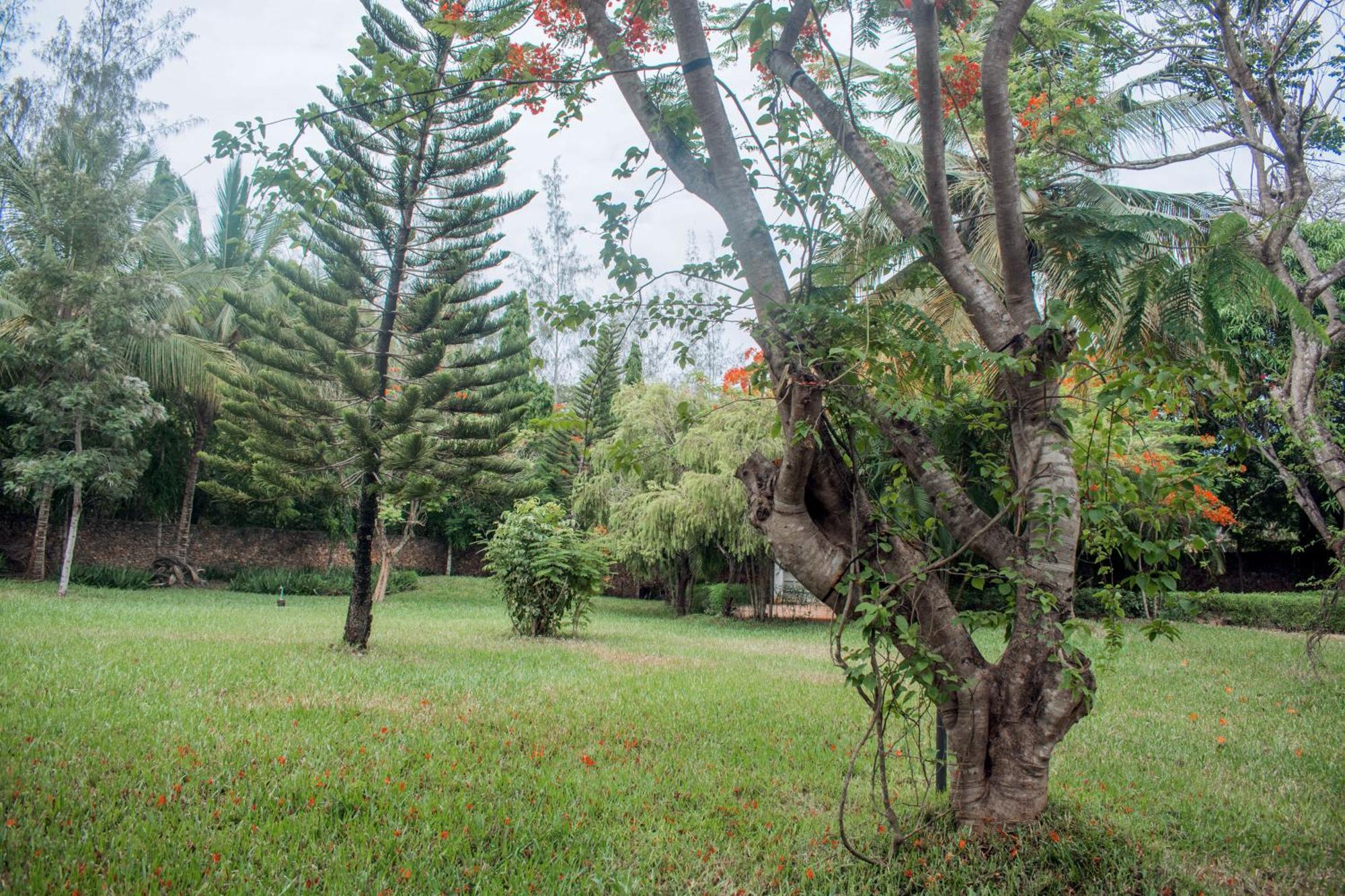 Kijani Cottages In Diani Playa de Diani Exterior foto