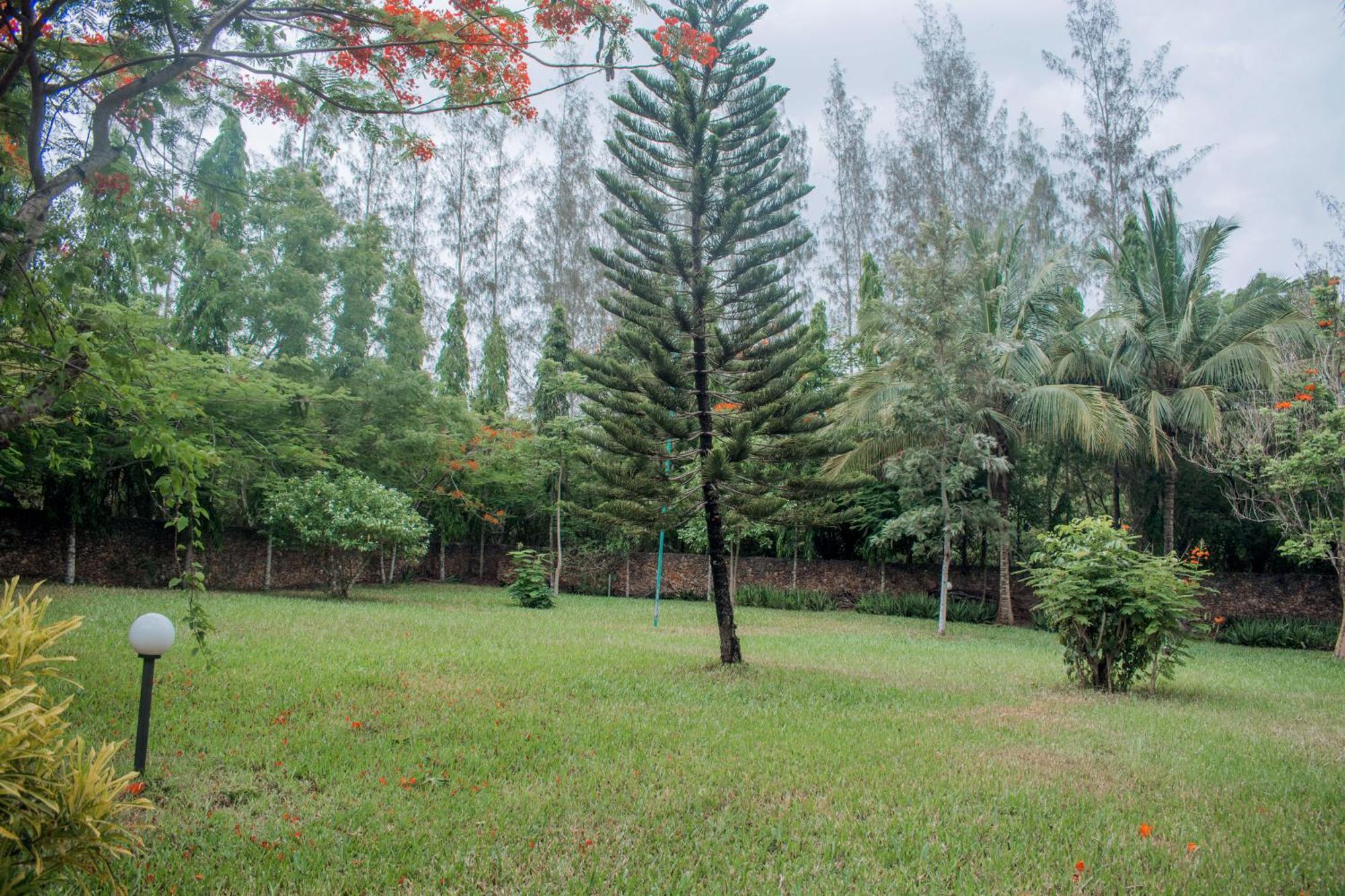 Kijani Cottages In Diani Playa de Diani Exterior foto